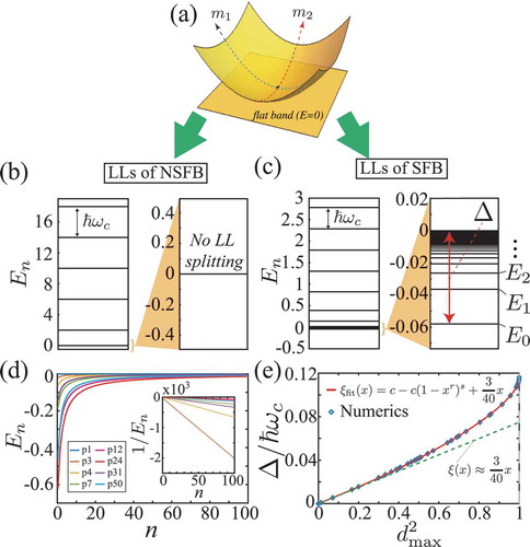 Figure 6. (a) A flat band and a parabolic band crossing each other at a point. m1 and m2 represent the minimum and maximum effective masses. Generic shape of the Landau level structure of (b) the non-singular flat band and (c) the singular flat band. In (c), Δ is the Landau level spreading of the flat band. (d) 1/n dependence of the anomalous Landau levels corresponding to the singular flat band. (e) The ratio Δ/ℏωc is plotted as a function of dmax2. Diamond symbols are the numerical results from the tight-binding lattice model, and the red solid curve is the fitting function for the data
