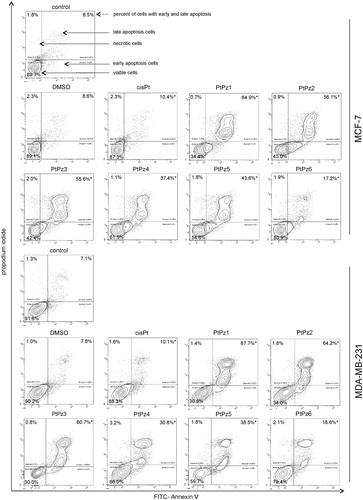 Figure 8. Flow cytometric analysis of MCF-7 and MDA-MB-231 breast cancer cells after incubation with PtPz1–PtPz6 (20 μM) and cisplatin (20 μM) for 24 h and subsequent staining with Annexin V and propidium iodide (PI). Dots with Annexin V−/PI− (left lower square), Annexin V+/PI− (right bottom square), Annexin V+/PI + (right upper square), and Annexin V−/PI+ (left upper square) feature represent intact, early apoptotic, late apoptotic, and necrotic cells, respectively. Mean percentage values from three independent experiments (n = 3) done in duplicate are presented. *p < .05 versus control group.