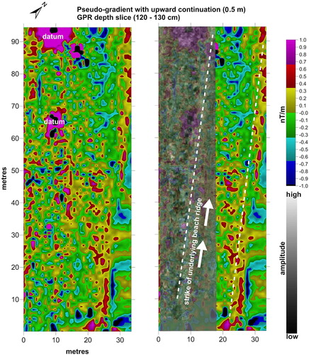 Fig. 8  Overlays of magnetic and ground-penetrating radar (GPR) results along entire survey area indicated a deeper trend from the underlying beach ridge.