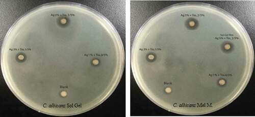 Figure 7. Antibacterial activity of LDPE/Ag/TiO2 against C. albicans.