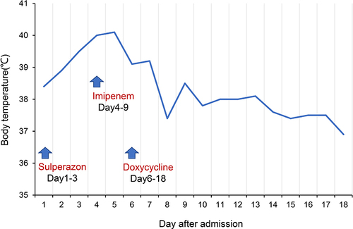 Figure 2 The curve of body temperature during hospitalization. Doxycycline tablets (0.2g twice daily) were administered from day 6 after admission.