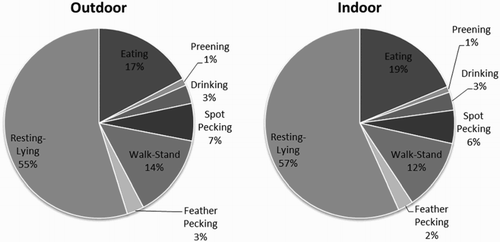 Figure 1. Range (%) of behaviours in outdoor and indoor rearing systems.