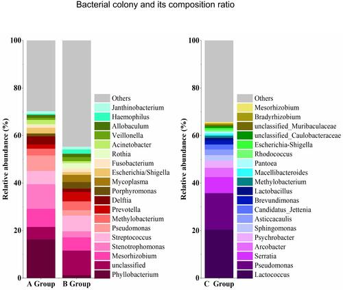 Figure 3 Name and composition ratio of the top 20 bacterial colonies in BALF and PM2.5 samples.