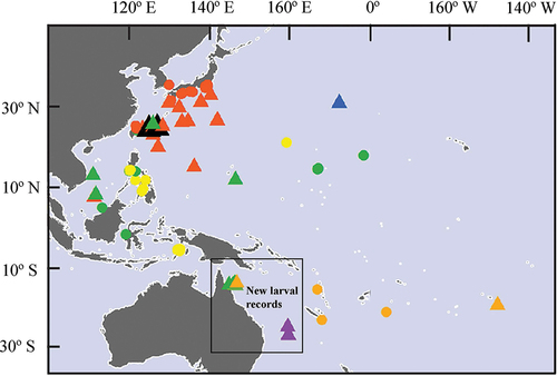 Figure 1. Localities where Chelarctus and Crenarctus larvae (triangles) and adults (circles) have been reported from the Indo-West Pacific. Green: Chelarctus aureus; orange: Ch. crosnieri; yellow: Ch. cultrifer; red: Ch. virgosus; black: Chelarctus sp.; purple: Crenarctus crenatus and blue: Crenarctus sp.