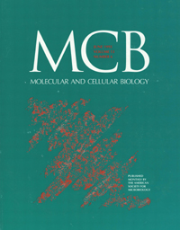 Cover image for Molecular and Cellular Biology, Volume 13, Issue 6, 1993