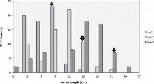 Fig. 2.  Frequency distribution of the DH lines for Sclerotinia stem lesion length measured at 7th, 15th and 21st days after inoculation (DAI). Note: Mean lesion length for Brassica napus cv. Westar is 8.3, 13.9 and 19.2 cm at 7, 15, 21 DAI, respectively (shown with arrows), and 0.1 cm at all three dates for Brassica carinata line 98-17-009.