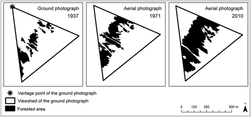 Figure 8. Forest expansion at Flysetra in Grøvudalen. The original situation in 1937 was digitized on the georectified ground photograph and then re-projected to the orthogonal perspective in order to compare it with aerial photographs