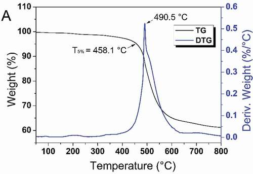 Figure 5. TGA and DTG curve of the cured HCBOs