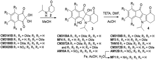 Figure 2. Chemical procedure for the synthesis of targeted indenoindoles.