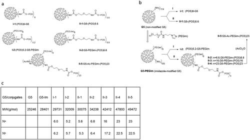 Figure 1. (a) Schematic representation of two classes of conjugates and synthetic targeting conjugate II-5. (b) Synthesis of class I and II of G5 POS conjugates. Conditions: (1) POS coupling reactions and acetylation: DiPEA, MeOH, 0 °C, 2 h; then 16 h, r.t. (2) Imidazole-modification: carbonyl diimidazole (CDI), acetonitrile, 12 h, r.t., and then G5-MeOH, 12 h, r.t. (c) Na: POS molecules attached to a G5 dendrimer determined by increasing molecular weights detected by MALDI-TOF spectrometry. Nb: POS molecules attached to a G5 dendrimer determined by UV–vis spectrometry.