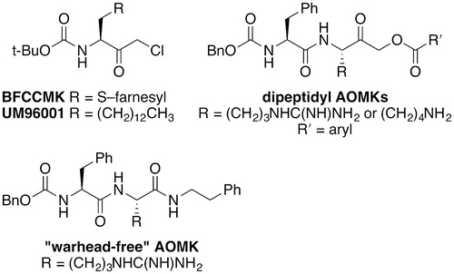 Figure 8. Structures of selected halo and acyloxymethyl ketone inhibitors of Rce1.