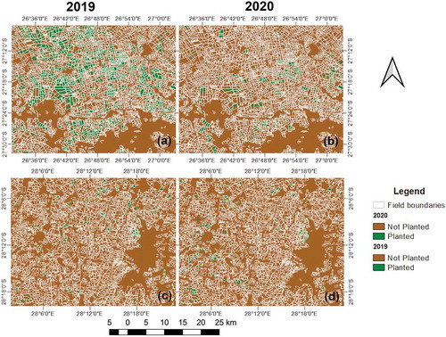 Figure 4. Spatial distribution of winter planted areas in Bothaville (a – b) and Harrismith (c – d) between the reference year (2019) and COVID-19 year (2020)