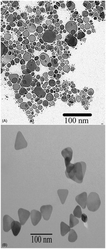 Figure 2. Electron microscopy image of the silver nanoparticles synthesised for use as photothermal agents. (A) Seed, which is mostly spherical and (B) triangular plates.