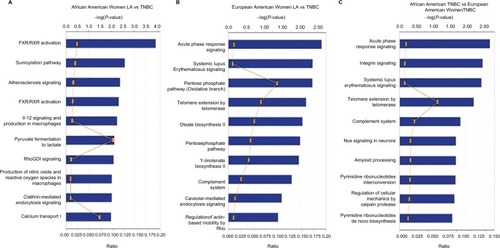 Figure 4 IPA of canonical pathways of differentially altered protein expressed in breast carcinoma (A) LA vs TNBC in African American women; (B) LA vs TNBC in European American women; (C) TNBC in African American women vs TNBC in European American women.