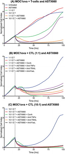 Figure 6. ASTX660 stimulates cytotoxic T lymphocyte killing. (A) MOC1ova cells were plated with ASTX660 (250 nM) and allowed to grow for 20 hours before addition of effector cells at indicated effector:target (E:T) ratios. (B-C) At both 1:1 and 10:1 E:T ratios, Concanamycin A (ConA, 100 nM), anti-TNFα (20 ng/mL), anti-TRAIL (20 ng/mL), and anti-FasL (20 ng/mL) were also added in addition to CTLs after 20 hours of cell growth. Impedance lines are graphed as averages of 3 replicates that have been normalized to a cell index of 1.0 at 20 hours when drugs or CTLs were added.