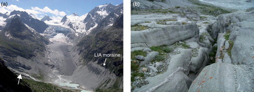 Figure 5. (a) Mont Miné glacier and glacier forefield (Ferpècle valley; photo 2004). The arrow indicates the location of the Nye channels depicted in (b).