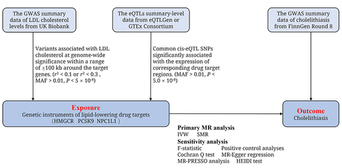 Figure 1 Two-Sample MR study design for the association between lipid-lowering drugs and cholelithiasis.