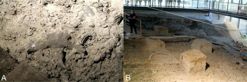 Figure 2. The Isernia La Pineta archaeosite. (A) The main archaeosurface covered with fossils of mammals; (B) view of the archaeological site with remnants of the stratigraphic layers (box-like islets).