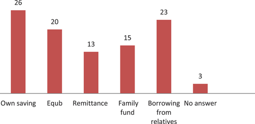 Figure 4. Source of investment for vehicle purchase among owner-drivers(%).