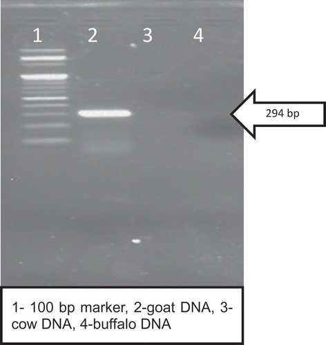 Figure 1. Amplification of goat specific primer (G) with DNA isolated from blood of various species.