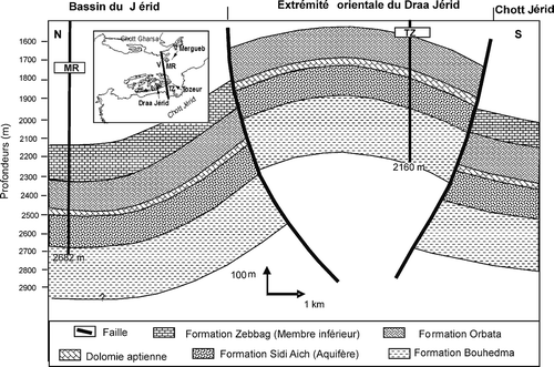 Fig. 13 Coupe géosismique dans l'extrémité orientale du Draa Jérid, région de Tozeur correspondant au profil sismique X.