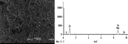 Figure 1. SEM/EDS obtained for Zn-10Nb2O5 electrodeposition.