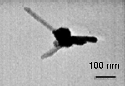 Figure 3. Rod-shaped particles attached at an agglomerate at the upper right of the image. Samples are collected from Caterpillar 3176 C-12 engine at 1200 rpm under 10% load (225 N·m) with undoped diesel fuel. No image is available in a bigger magnification to tell whether or not they are tubes. Each rod has 173 nm length, 14 nm outer diameter, and 85 nm length, 20 nm outer diameter, approximately and respectively.