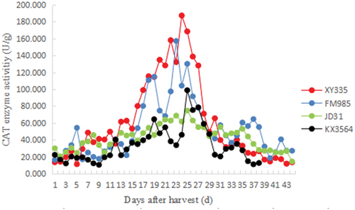 Figure 6. CAT enzyme activity curves of corn kernels.