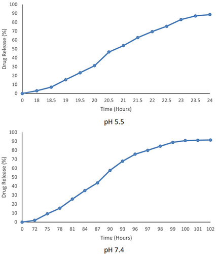 Figure 5 In vitro drug release of rutin at cancerous pH 5.5 and physiological pH 7.4.