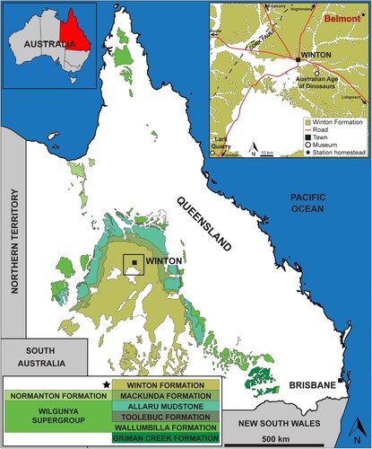 FIGURE 1. Map of Queensland, Australia showing the distribution of surface exposures of Cretaceous sediments in Queensland, the location of the town of Winton and museums in the region, and the location of Belmont Station where the holotype and only known specimen of Ferrodraco lentoni was discovered. This map was drafted by S.F.P. in Adobe Illustrator CC 2017, and includes geological information summarized from Vine and Jauncey (Citation1964) and Vine et al. (Citation1967). (© Commonwealth of Australia [Geoscience Australia] 2019. This product is released under the Creative Commons Attribution 4.0 International License [creativecommons.org/licenses/by/4.0/legalcode].)