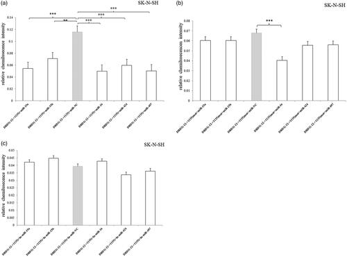 Figure 6. Relative luciferase activity of pmirGLO-recombined vectors containing 3′UTR –12 to +1135 bp fragment or mutated fragment after transfection of miRNA mimic/inhibitor in SK-N-SH cell. (a) All of the five miRNAs significantly inhibited the luciferase expression compared to the miR-NC. (b) Only miRNA-16 decreased the luciferase expression of 3′UTR-mutated fragment. (c) No effects were observed after the miRNA inhibitors were transfected. Normalized activities were compared with the NC (miR-NC/In-miR-NC). *p < .05, **p < .01 and ***p < .001. The error bars were standard deviation of the mean.