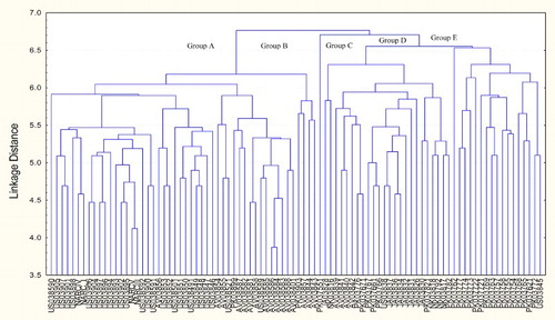 Figure 2. Dendrogram constructed by using UPGMA method based on RAPD bands of 92 genotypes produced by 10 primers.