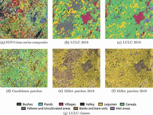 Figure 4. Candidate and final patches for the spatialization of millet yields over 2018 and 2019 growing seasons. Bing Maps images are displayed in the background of subfigures 4e and 4f. The maps were created with https://www.qgis.org/fr/site/forusers/download.htmlQGIS 3.14