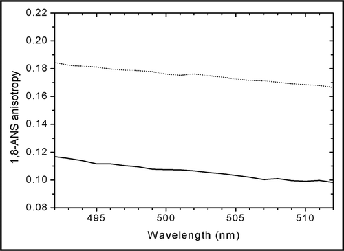 Figure 5 Steady-state fluorescence anisotropy spectra of 50 µM ANS in the presence of NaCl-diluted trastuzumab (solid line) and dextrose-diluted trastuzumab (dotted line). The higher anisotropy of ANS in dextrose-diluted trastuzumab is indicative of a lower mobility of ANS, consecutive to a stronger binding to trastuzumab.