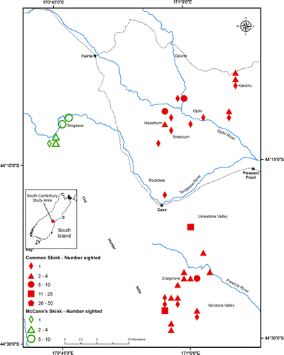 Figure 2  Common skinks and McCann's skinks in the limestone areas of South Canterbury. Symbols represent number of animals sighted in one map grid square (1000×1000 m) (see Methods). Each symbol is approximately the size of a grid square.