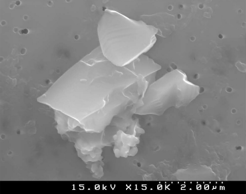 FIG. 1  SEM photomicrograph of Reference Quartz 2004 (15,000×).