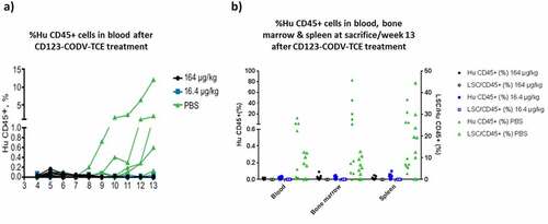 Figure 4. CD123-CODV-TCE depletes blast cells and LSCs in primary AML disseminated model in NSG mice in vivo. NSG mice were engrafted IV with whole blood from chemo-resistant AML patient #323. (a) AML engraftment was evaluated in each animal’s peripheral blood by ex-vivo flow cytometry using human CD45 as a marker. After week 9, tumor engraftment was detected only in the phosphate-buffered saline-treated control group. (b) At week 13, terminal detection by flow cytometry of the percentage of human CD45+ blast AML cells (left y-axis, solid dots), as well as the percentage of human LSCs (right Y-axis, empty dots) in blood, bone marrow, and spleen was determined. Blasts and LSCs were detected in peripheral blood, spleen, and bone marrow of control animals, but no LSCs or human CD45+ cells could be detected in these tissues in mice treated with CD123-CODV-TCE