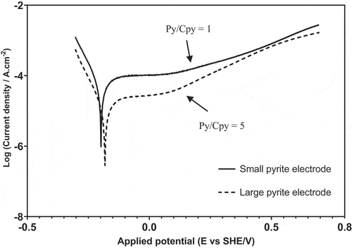 Figure 6. Tafel polarization curves of pyrite electrode coupled with 30 wt% Cr steel under Configuration 3 at pH 9.0.
