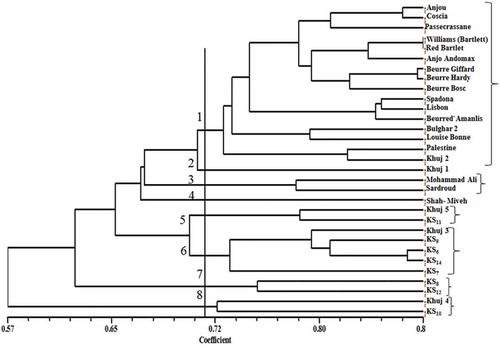 Figure 1. Dendrogram of 31 pear species, cultivars, and genotypes generated by UPGMA cluster analysis using the RAPD data based on Dice’s coefficient. (Source: Nei and Li, Citation1979.)