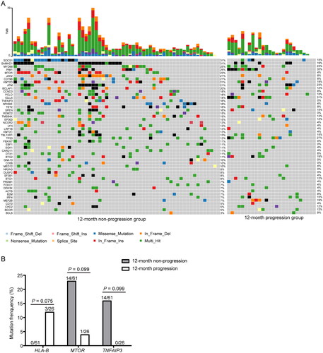 Figure 5. Relationship between mutations and the 12-month progression in patients with DLBCL. (A) Top 50 mutated genes found in 87 DLBCL patients with disease progression information. (B) The mutation frequencies of genes with obvious differences between 12-month progression and 12-month non-progression groups were determined.