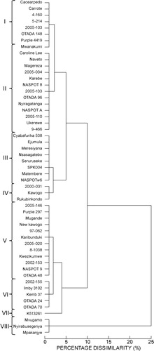 Figure 1: Dendrogram showing principal genetic clusters of 54 sweetpotato genotypes using 26 phenotypic traits