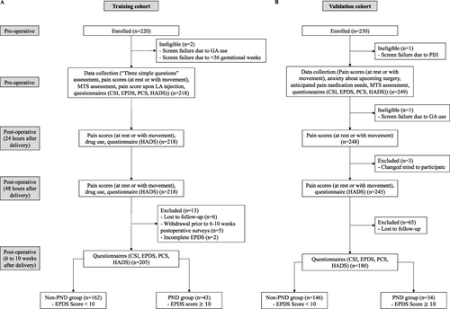 Figure 1 Study workflow of the (A) training and (B) validation cohorts. The training cohort was recruited between May 2018 and April 2019, and the validation cohort was recruited between October 2021 and October 2022. Both cohorts were recruited at the same tertiary level care hospital specialized in obstetric and gynaecological population.