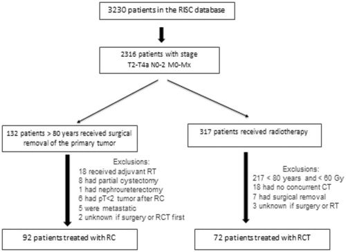 Figure 1. Flowchart. RC: radical cystectomy; RCT: radiochemotherapy; RT: radiotherapy; CT: chemotherapy.