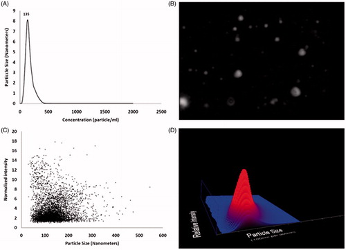 Figure 4. Representative image panel of effect of 7-hydroxy flavone (50 μM) on glycation induced lens crystalline aggregate formation. The effect of selected flavonoids (50 μM) on glycation induced lens crystalline aggregate formation was analyzed by measuring the sizes of lens protein aggregates using NTA LM 20 analysis system. (A) Plot representing particle size (nm) and concentration (particle/ml). Value 135 is a mode size (in nm) of observed nano particles. (B) Still frame from video of nano sizing experiment (refer on line supplementary video). (C) Plot representing particle size (nm) and normalized intensity. (D) A 3D plot of particle size (10 nm per division) and relative intensity. The results summarized are the mean value of four lenses (derived from two animals) each used in individual four experiments.