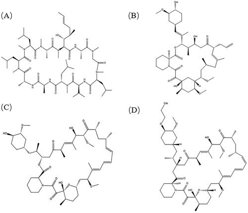 Figure 1. Structural formulas of cyclosporine, tacrolimus, sirolimus, and everolimus.(A) Cyclosporine, molecular weight 1202.61, solubility <10 μg/mL); (B) Tacrolimus (molecular weight 804.02, solubility 5-8 μg/mL); (C) Sirolimus (molecular weight 914.172, solubility 2.6 μg/mL); and (D) Everolimus (molecular weight 958.2, solubility 9.6 μg/mL).
