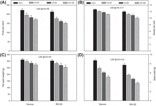 Figure 3. Effect of soil amended cadmium (0, 25, 50 or 100 mg CdCl2 kg−1) induced changes on the (A) pods plant−1, (B) seeds pod−1, (C) mass of 100 seeds and (D) seed yield of Varuna and RH-30 varieties of B. juncea L. at harvest