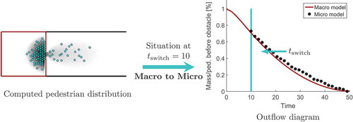 Figure 8. Switch from macro to micro for the pedestrian model.