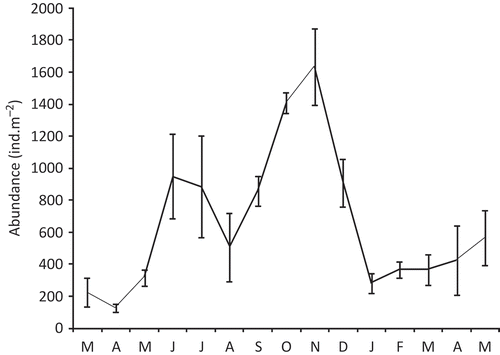 Figure 3. Temporal variation of density of the population of Alitta succinea from station C, Romanian coast of the Black Sea (mean values ± SD).