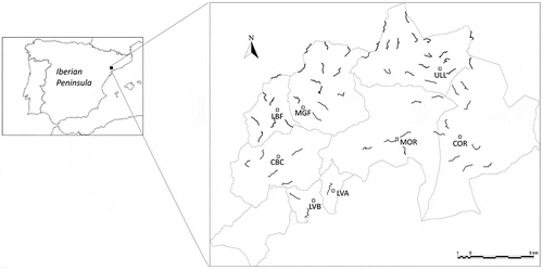 Figure 1. Location of the Serra de Montsant and its municipalities in the northeast of the Iberian Peninsula. The gray lines indicate the scat deposition paths of the Private Hunting Area without control. The black lines indicate scat deposition paths of the Private Hunting Area with control. The white squares indicate villages: MOR (La Morera de Montsant), LVA (La Vilella Alta), LVB (La Vilella Baixa), CBC (Cabacés), LBF (La Bisbal de Falset), MGF (Margalef), ULL (Ulldemolins) and COR (Cornudella de Montsant).