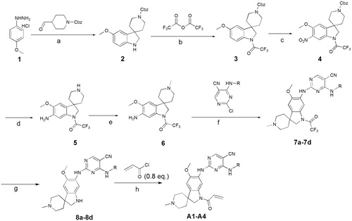 Figure 2. Synthesis of A1-A4, Reagents and conditions: (a) (i) TFA, Toluene, rt, (ii) NaBH4, MeOH, rt; (b) TEA, DCM, 0 °C; (c) Cu(NO3)2.3H2O, Ac2O; (d)Pd/C, H2, rt; (e) MeI, TEA, THF, rt; (f) PTSA, 2- propanol, dioxane, 80 °C; (g) K2CO3, MeOH, rt; (h) TEA, DCM, –20 °C.